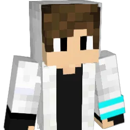 dandu17 Minecraft avatar bust