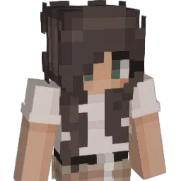 dani30 Minecraft avatar bust