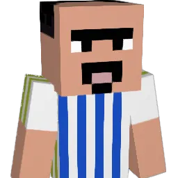 danilp6's Minecraft skin