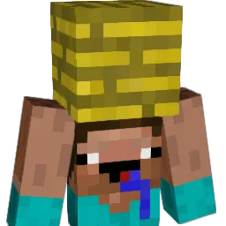 dankplank5's Minecraft skin