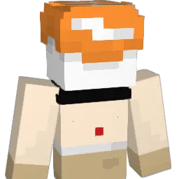 danny666888 Minecraft avatar bust