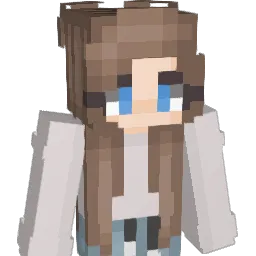 dans246's Minecraft skin