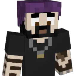 dansh_net Minecraft avatar bust