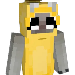 dansku12 Minecraft avatar bust