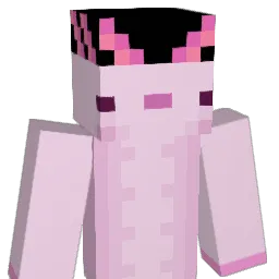dany798's Minecraft skin