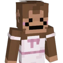 darcstyles Minecraft avatar bust