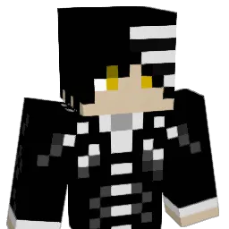 dark_Meter Minecraft avatar bust