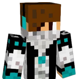 darkknight285 Minecraft avatar bust