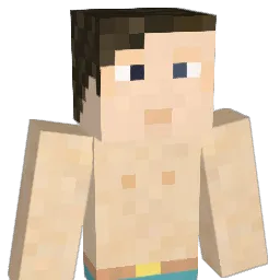 darknavi Minecraft avatar bust