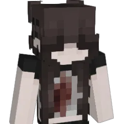 darknightsgf Minecraft avatar bust