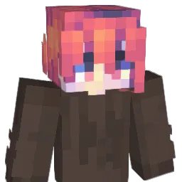 darkninja612 Minecraft avatar bust