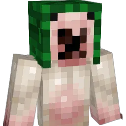darkpitss Minecraft avatar bust
