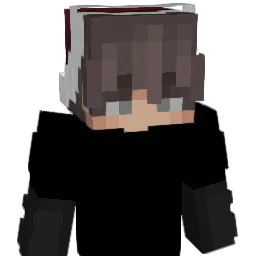 darkvinnyc Minecraft avatar bust