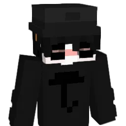 darlingnwe1 Minecraft avatar bust