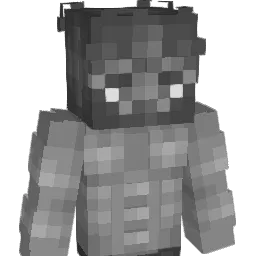 darn_ Minecraft avatar bust