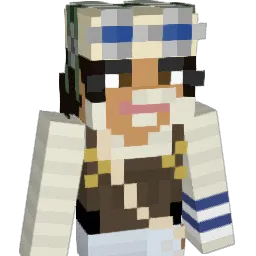 dartboards Minecraft avatar bust