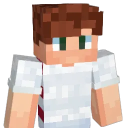 darthvader1121 Minecraft avatar bust