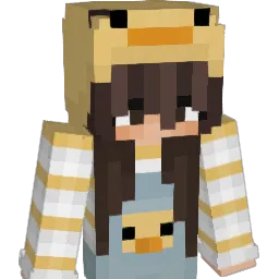 dash6 Minecraft avatar bust