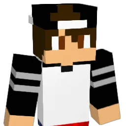 dashboy122's Minecraft skin