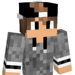 dashfinn Minecraft avatar bust