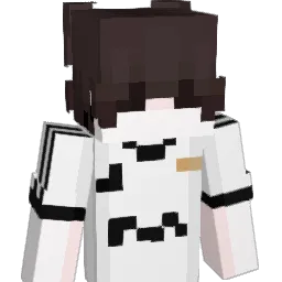 datalol's Minecraft skin