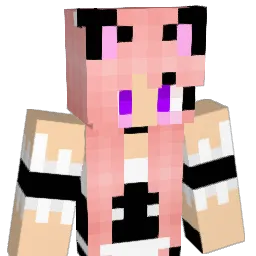 dauphin1 Minecraft avatar bust