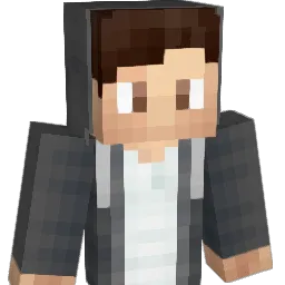 dave29483 Minecraft avatar bust
