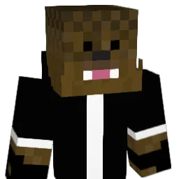 davidT214 Minecraft avatar bust