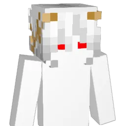 dawidriner Minecraft avatar bust