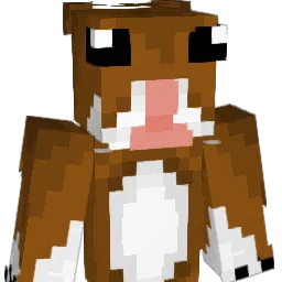 dawonn Minecraft avatar bust