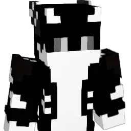 dbare4809 Minecraft avatar bust