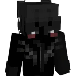skvls's skin