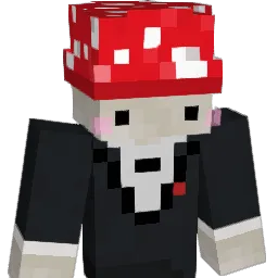 dcwz Minecraft avatar bust