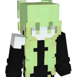 LimitMC's skin
