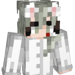 ddg08 Minecraft avatar bust