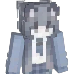 ddgg1145