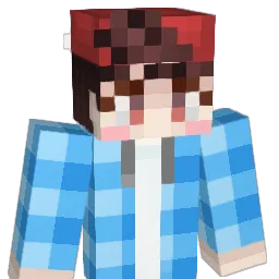 ddori14 Minecraft avatar bust