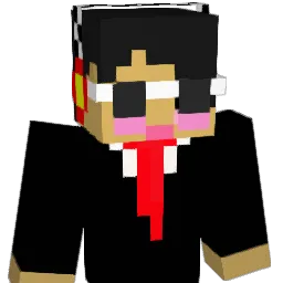 dds35 Minecraft avatar bust