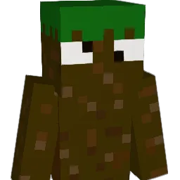 dds467's Minecraft skin