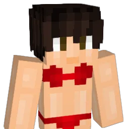 deadstar70 Minecraft avatar bust