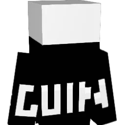 dec8300 Minecraft avatar bust
