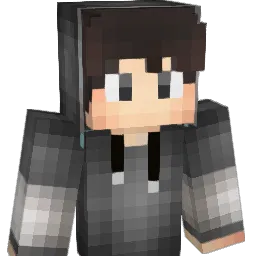 decisions Minecraft avatar bust
