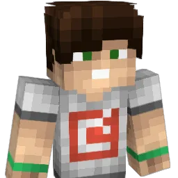 definationz Minecraft avatar bust