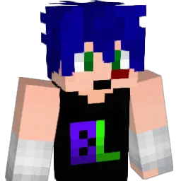 definetlynotalt3 Minecraft avatar bust