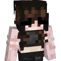 definitelyVizzy