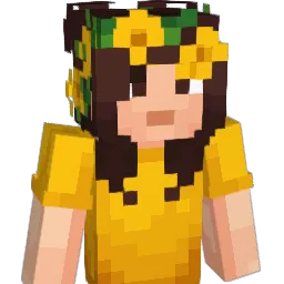 defyingravity360 Minecraft avatar bust