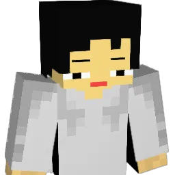 dekro14 Minecraft avatar bust