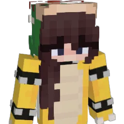 dem111 Minecraft avatar bust
