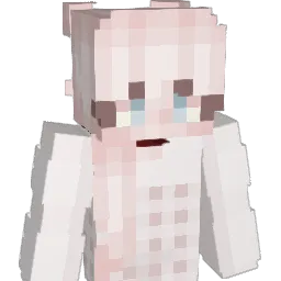 dem_9 Minecraft avatar bust