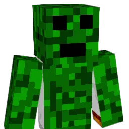dementedbever10 Minecraft avatar bust